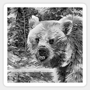 AnimalArtBW Bear 001 Sticker